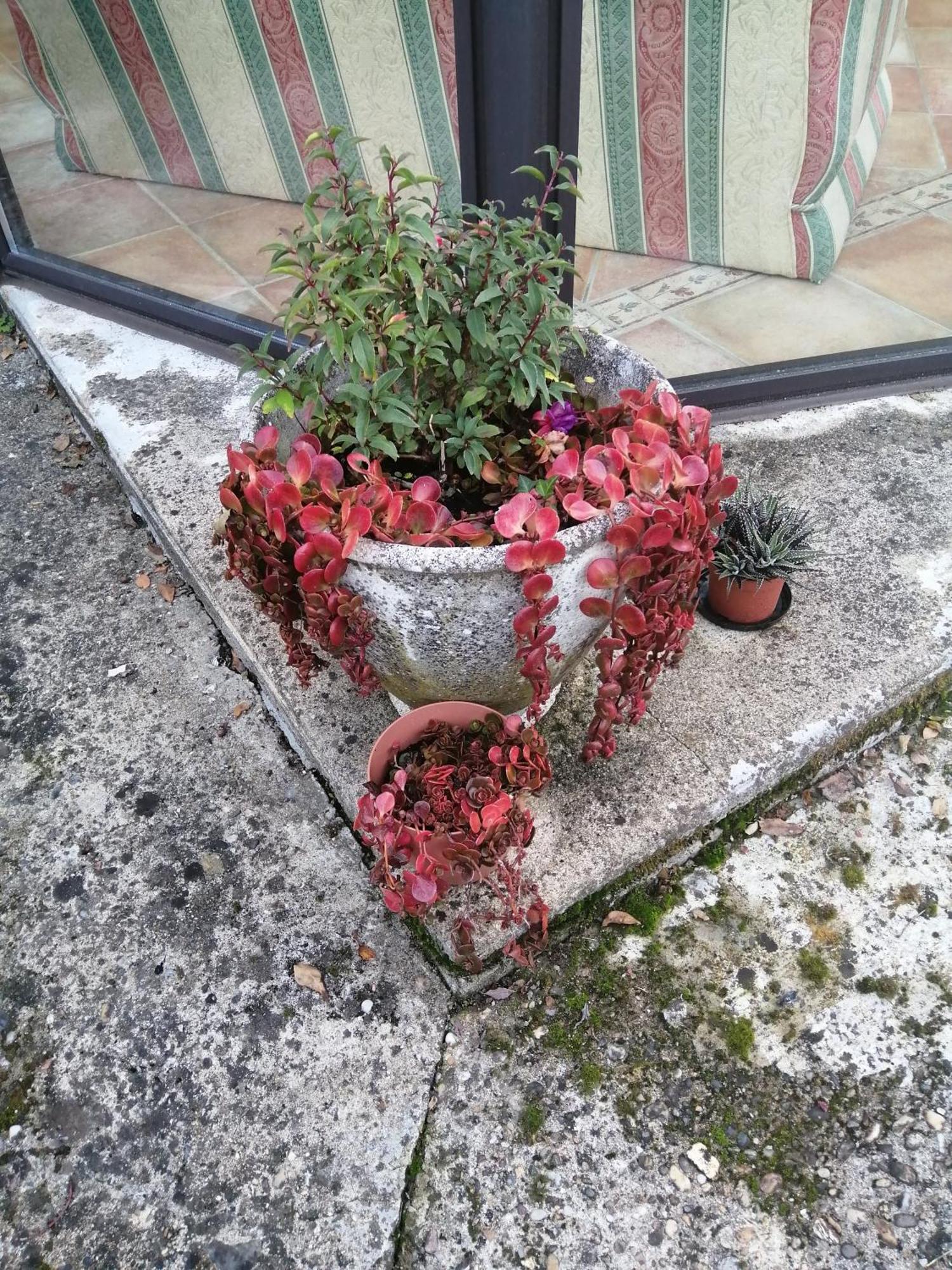 Le Grand Chemin De La Vie Bed & Breakfast Montcaret Exterior foto