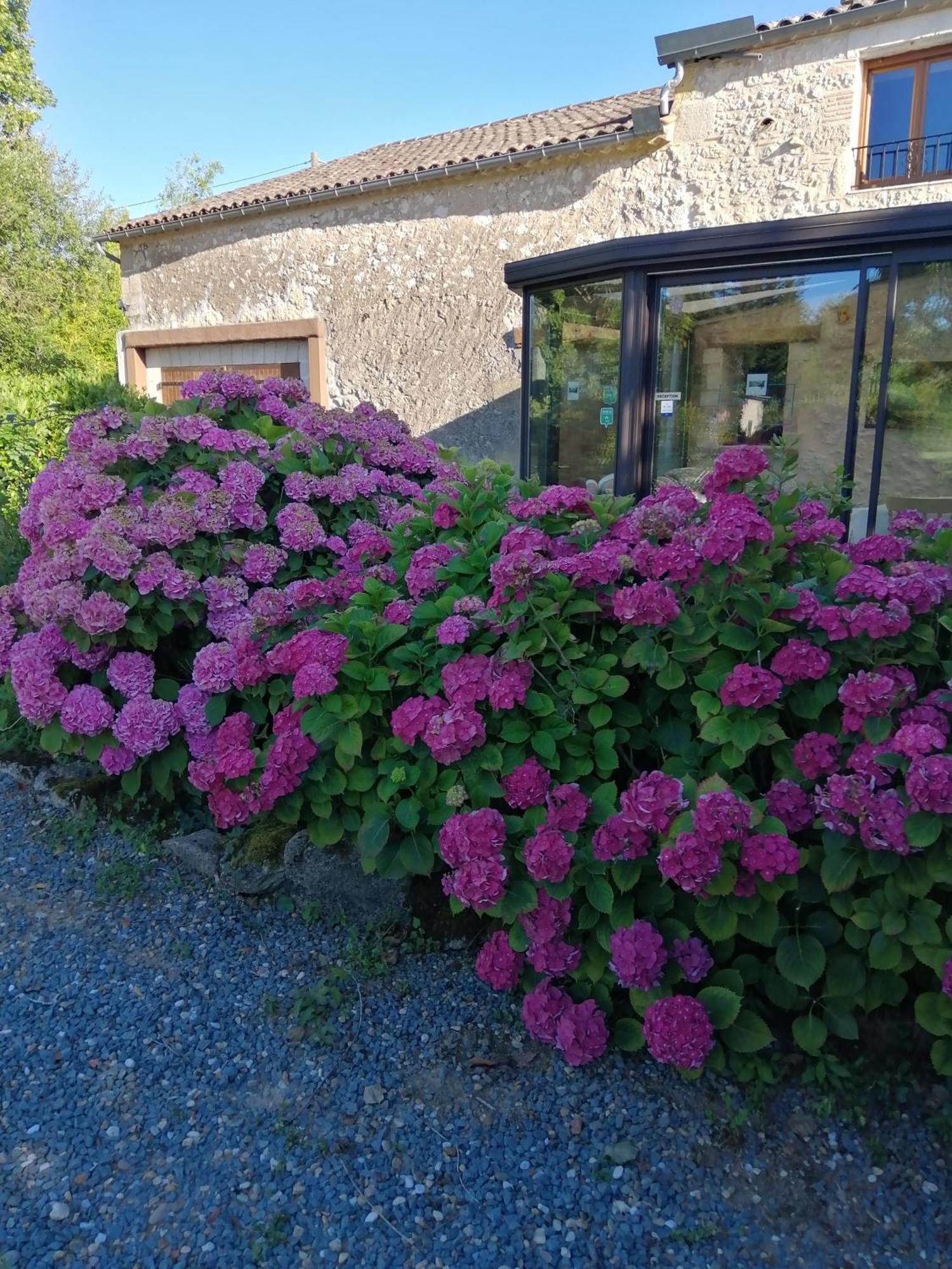 Le Grand Chemin De La Vie Bed & Breakfast Montcaret Exterior foto
