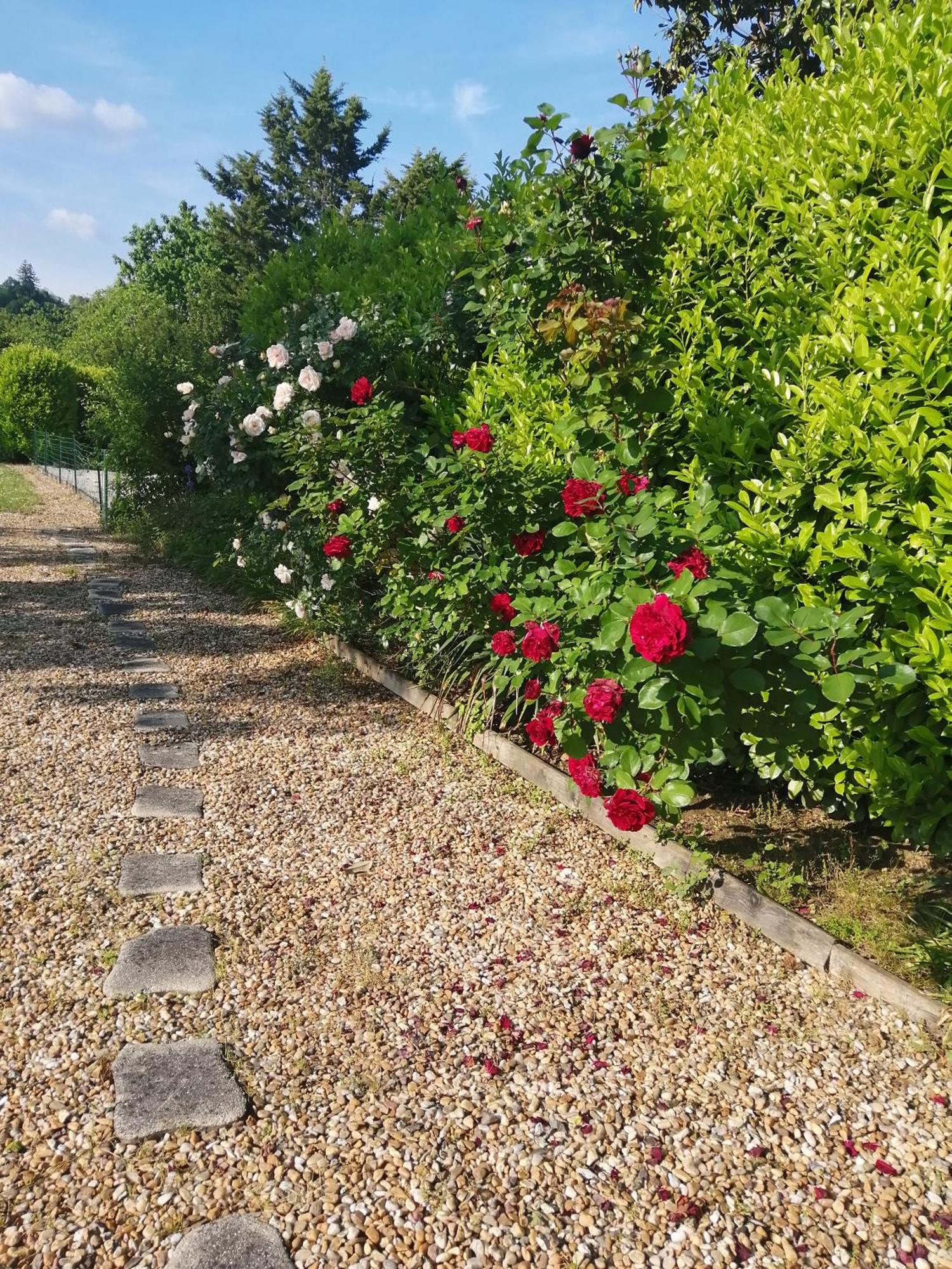 Le Grand Chemin De La Vie Bed & Breakfast Montcaret Exterior foto