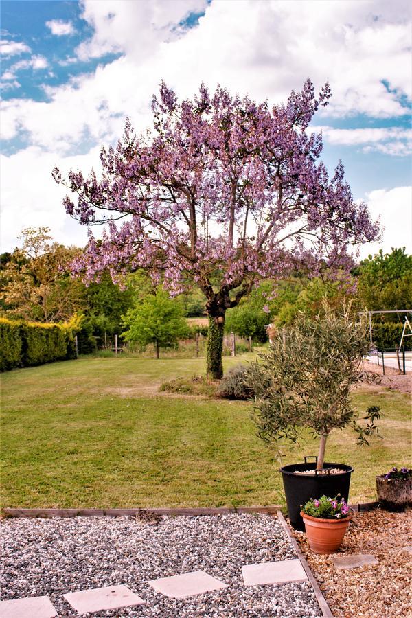 Le Grand Chemin De La Vie Bed & Breakfast Montcaret Exterior foto